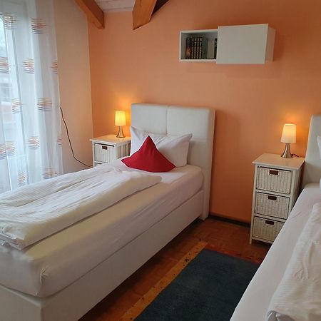 Armonia Altach, 2-6 P, 2 Schlafzimmer, Kueche, Parkplatz, Balkon, Wifi, Garten, Stellplatz Fuer Ski Ngoại thất bức ảnh