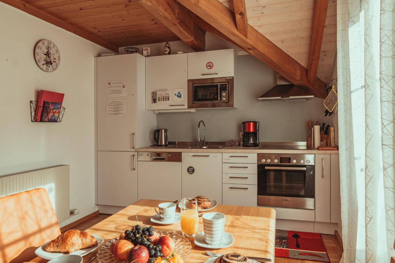 Armonia Altach, 2-6 P, 2 Schlafzimmer, Kueche, Parkplatz, Balkon, Wifi, Garten, Stellplatz Fuer Ski Ngoại thất bức ảnh